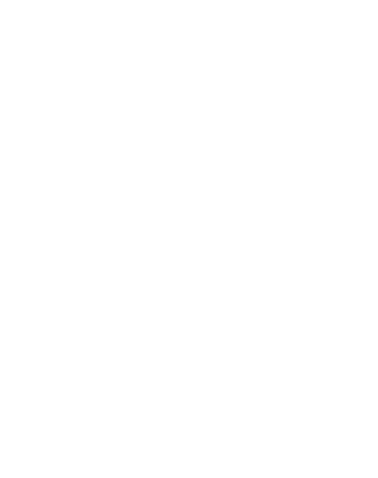 FFLogoWhite